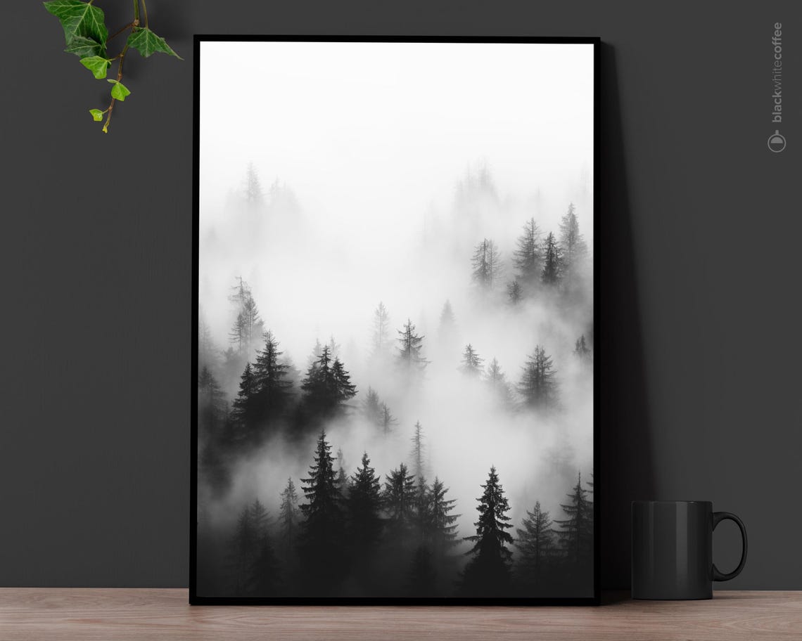 Dense Fog Evergreen Forest Black and White Nature Photography Poster