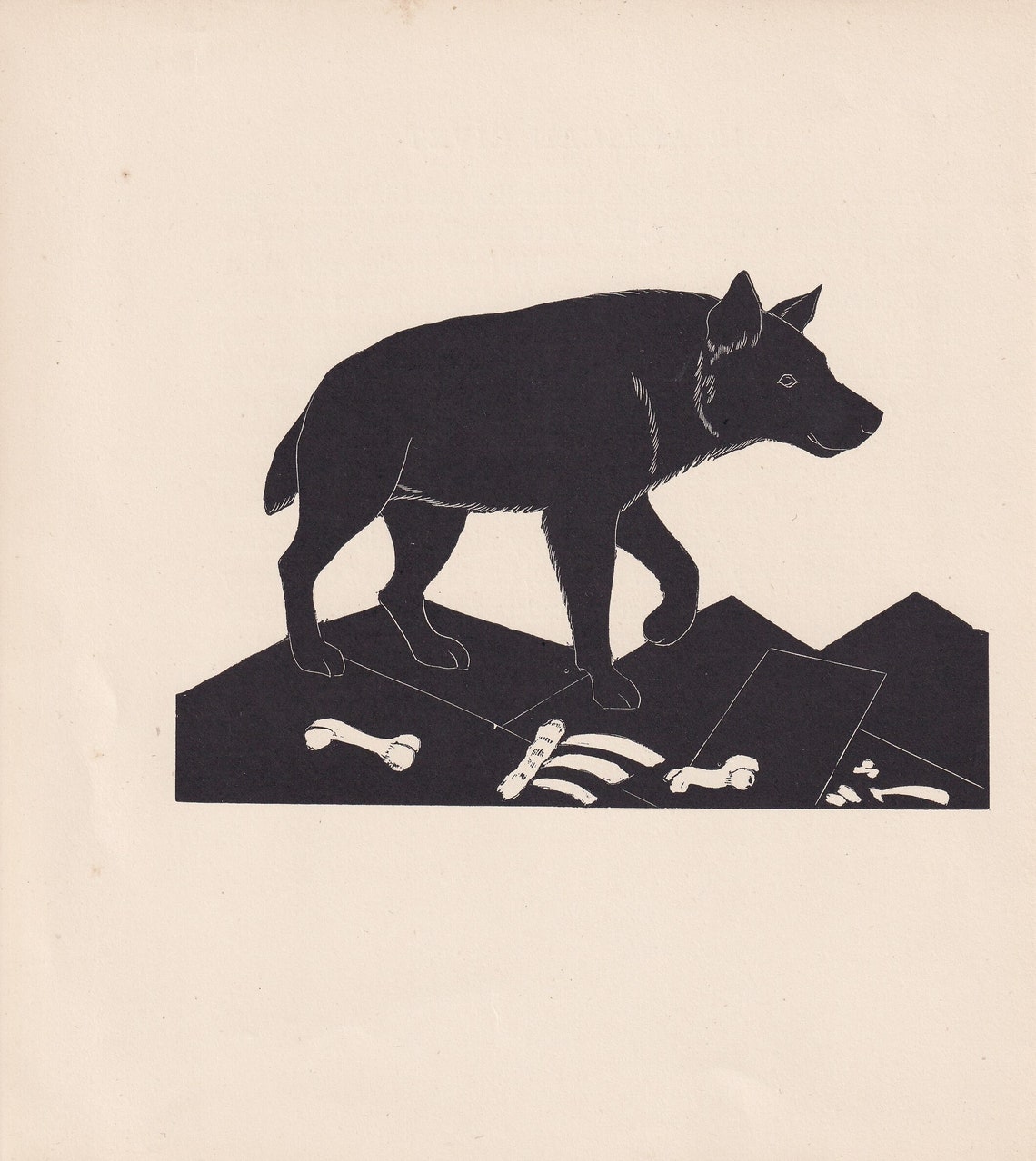 1929 Hyena Print Wood Engraving Hyena Wall Art Zoology Print Wildlife Antique Animal Print 94 Years Old 8 X 725 Inches