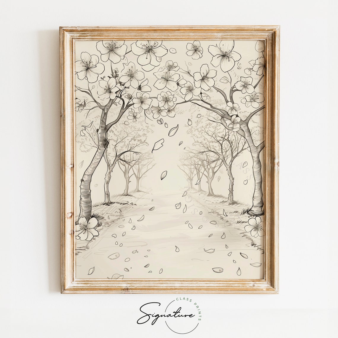 Cherry Blossom Trees Over Path Blooming Botanical Sketch Art Poster