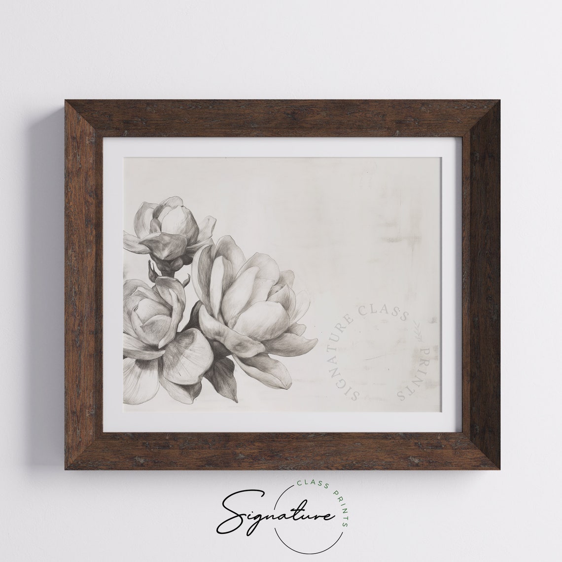 Gardenia Bloom Grayscale Botanical Pencil Sketch Line Art Poster - Image 5