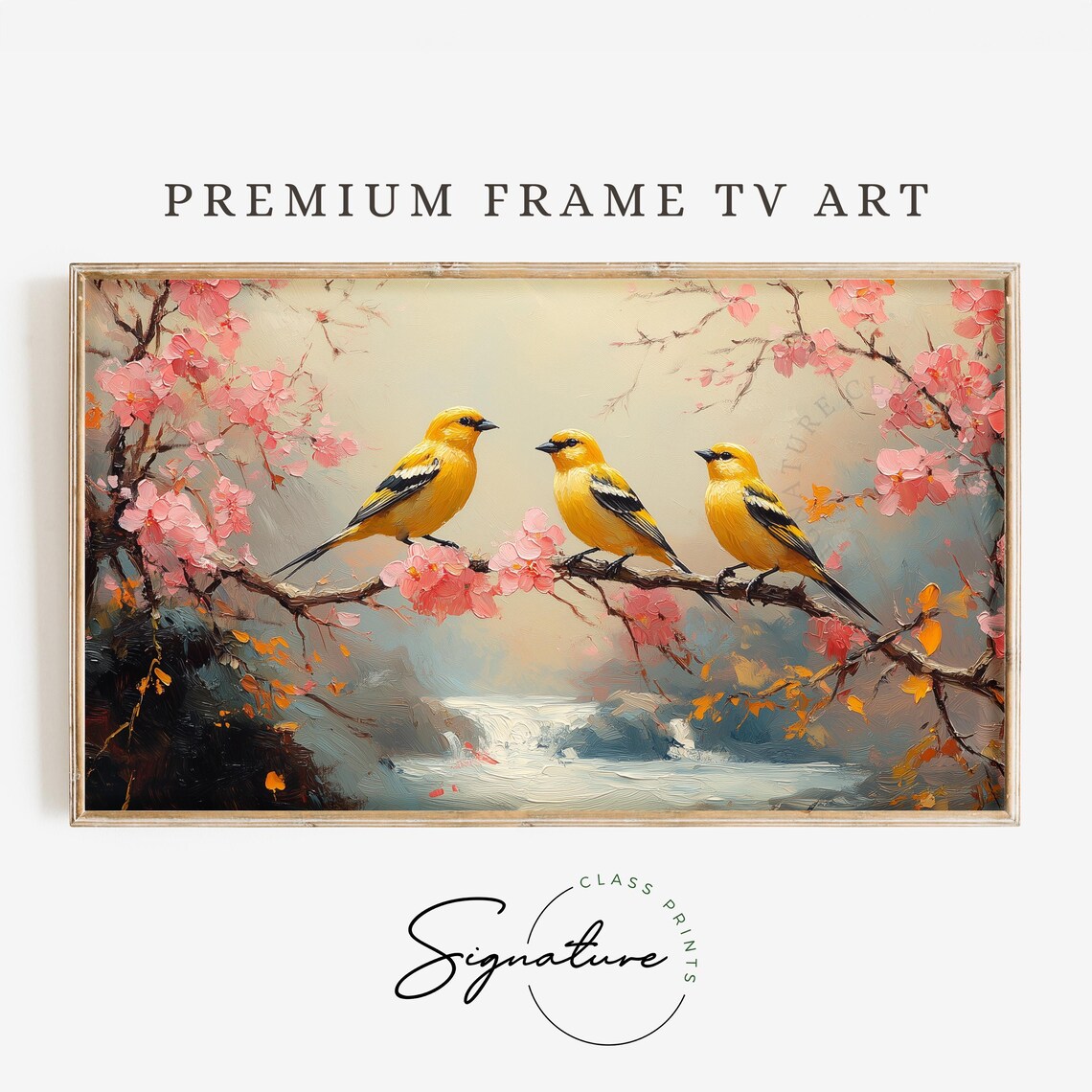 Yellow Songbird Trio On Pink Cherry Blossom Branch Spring Bird Art Poster