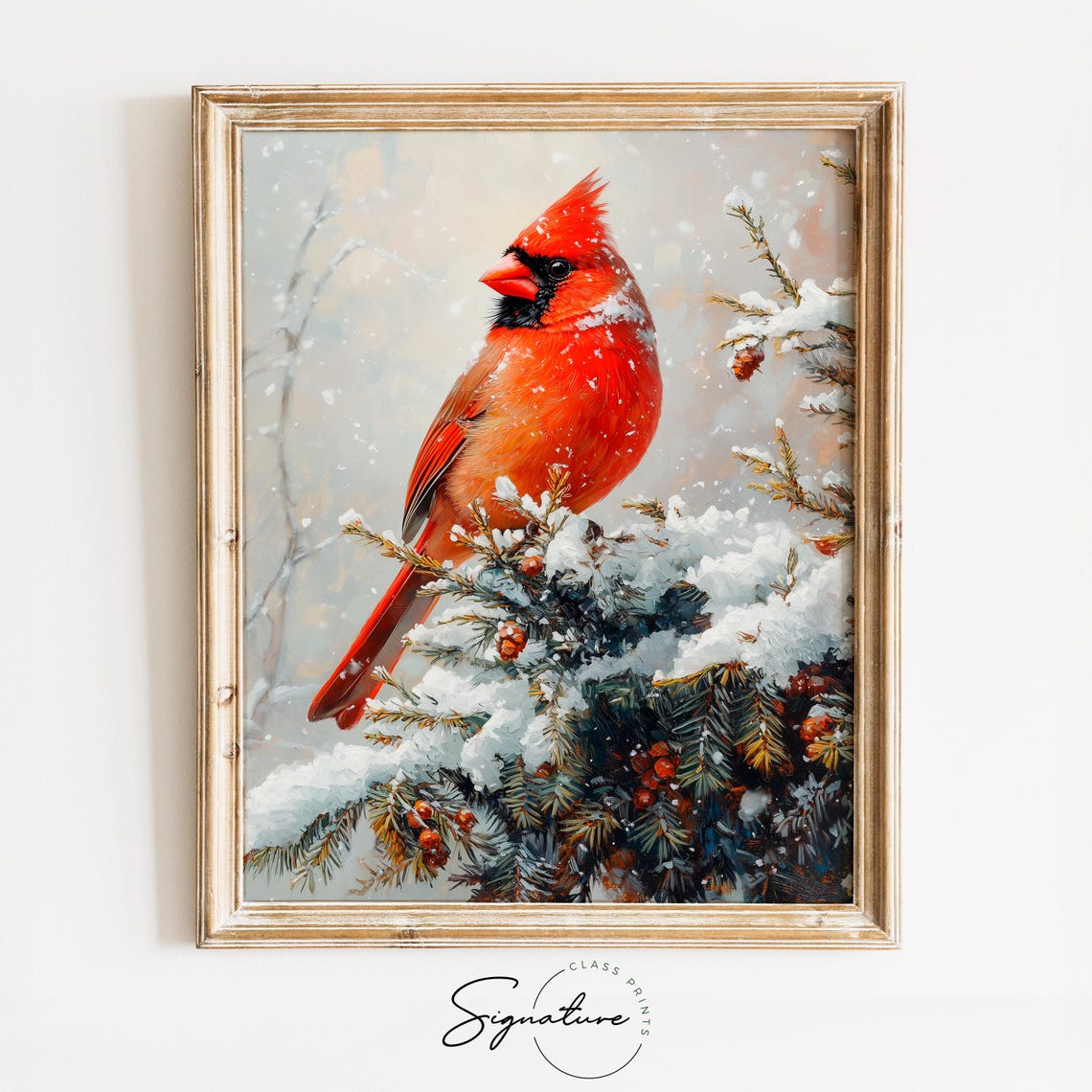 Northern Cardinal Red Bird Snowy Pine Branch Winter Christmas Poster
