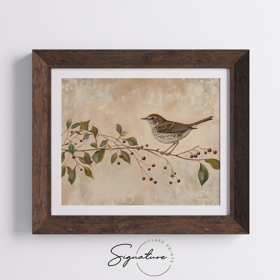 Hermit Thrush on Red Berry Branch Vintage Winter Bird Poster - Image 4
