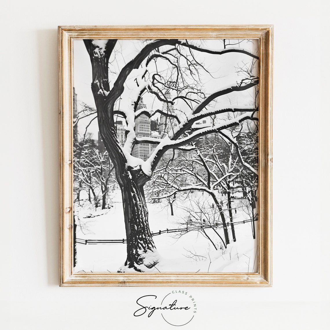 Snow Covered City Park in Black and White Winter Scene Poster