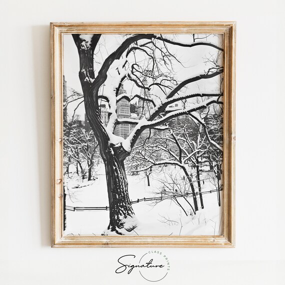 Snow Covered City Park in Black and White Winter Scene Poster