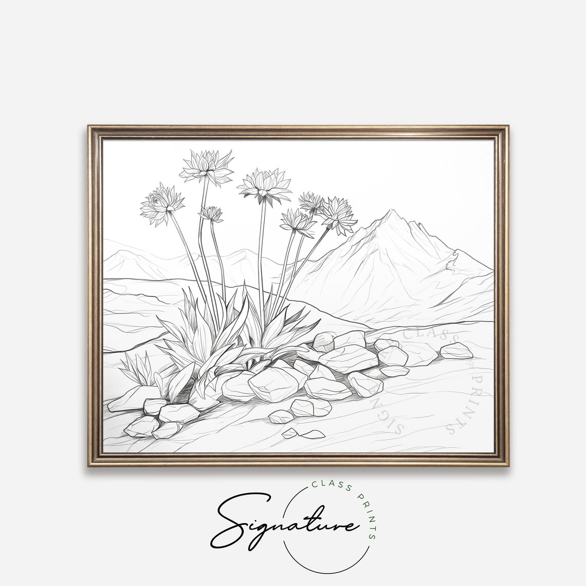 Alpine Wildflowers Line Drawing on Rocky Mountain Slope Poster - Image 4