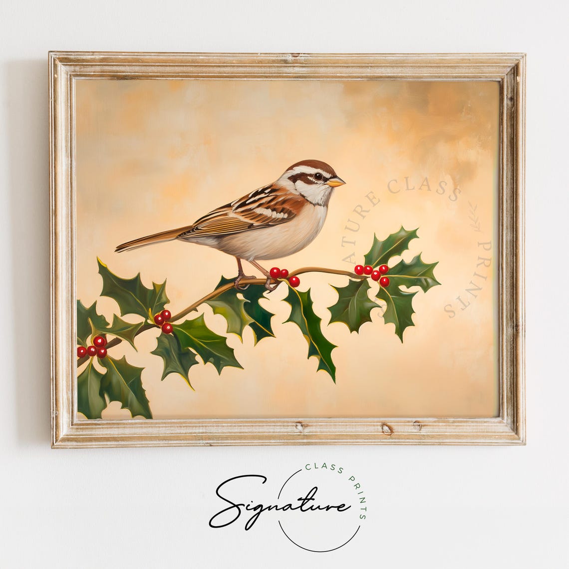 White Throated Sparrow on Holly Branch Berries Vintage Poster