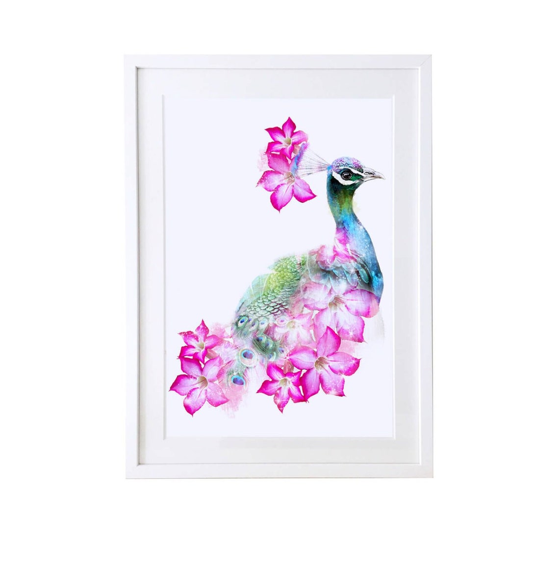 Peacock Bird Wall Art Print