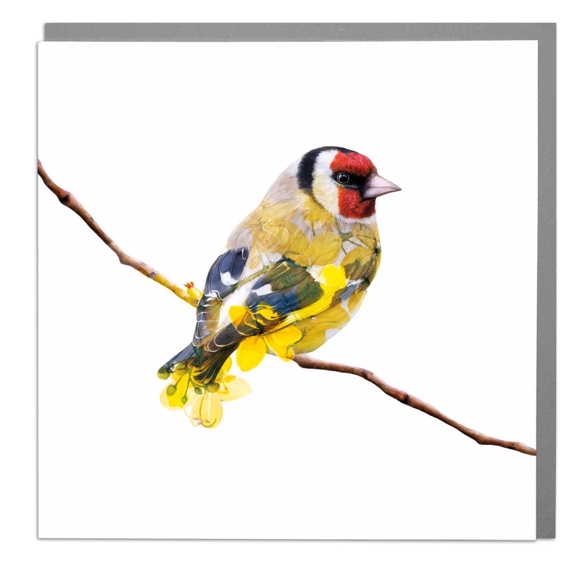 Gold Finch Art Card By Lola Design