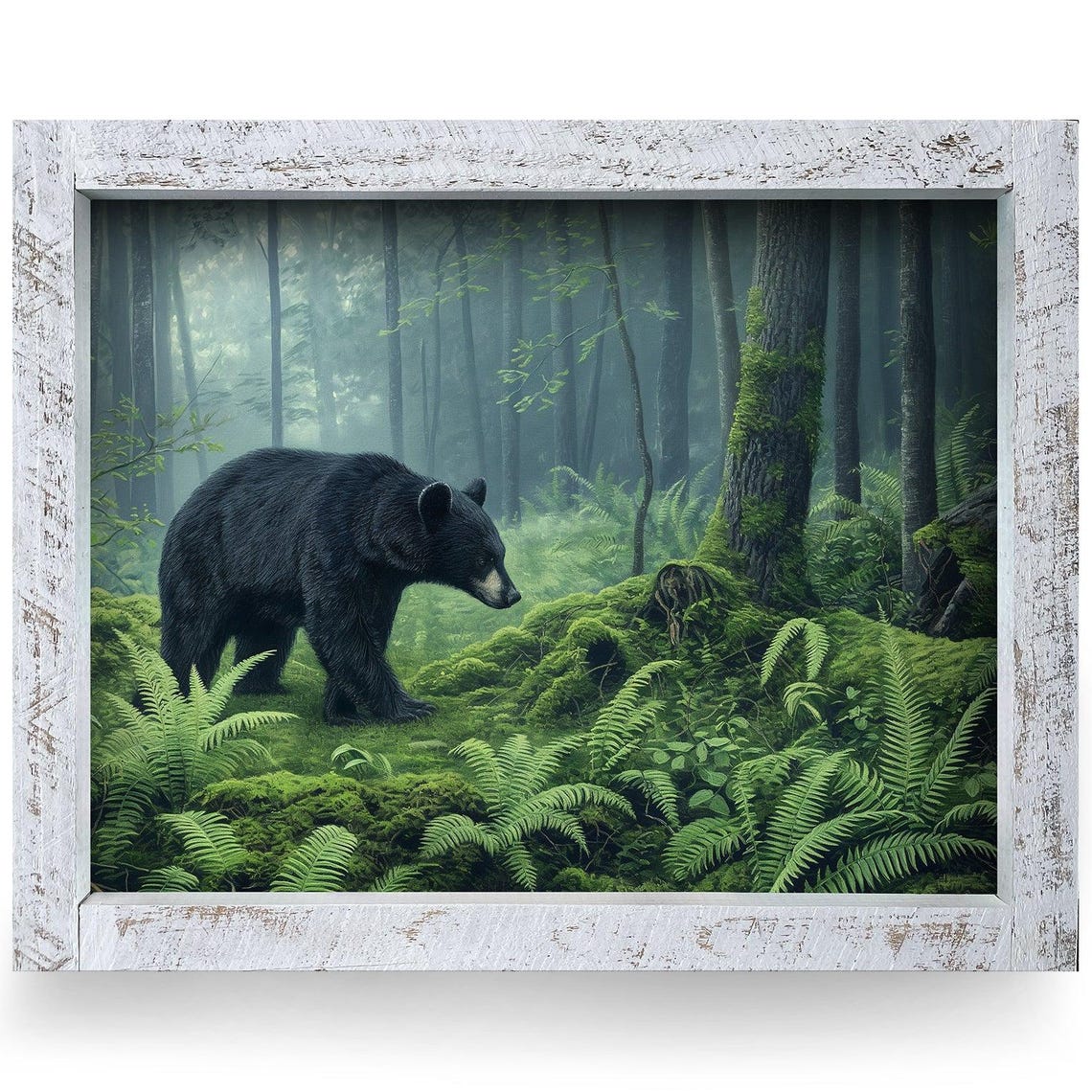 Black Bear Walking in Misty Fern Forest Wildlife Wall Art Decor