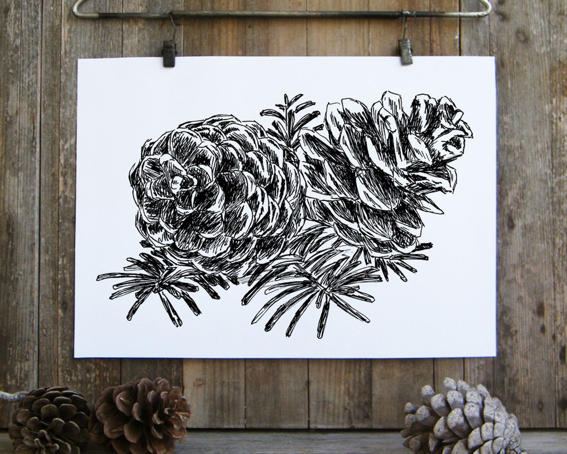 Pine Cones Evergreen Branch Botanical Ink Sketch Nature Wall Art - Image 3