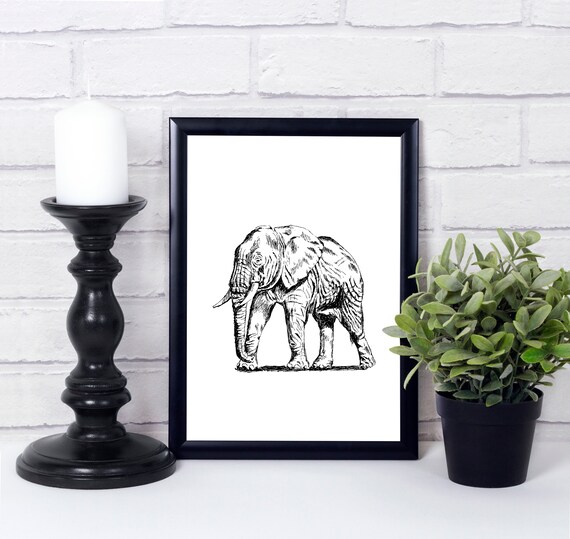 African Elephant Walking Sketch Black White Nature Art Poster