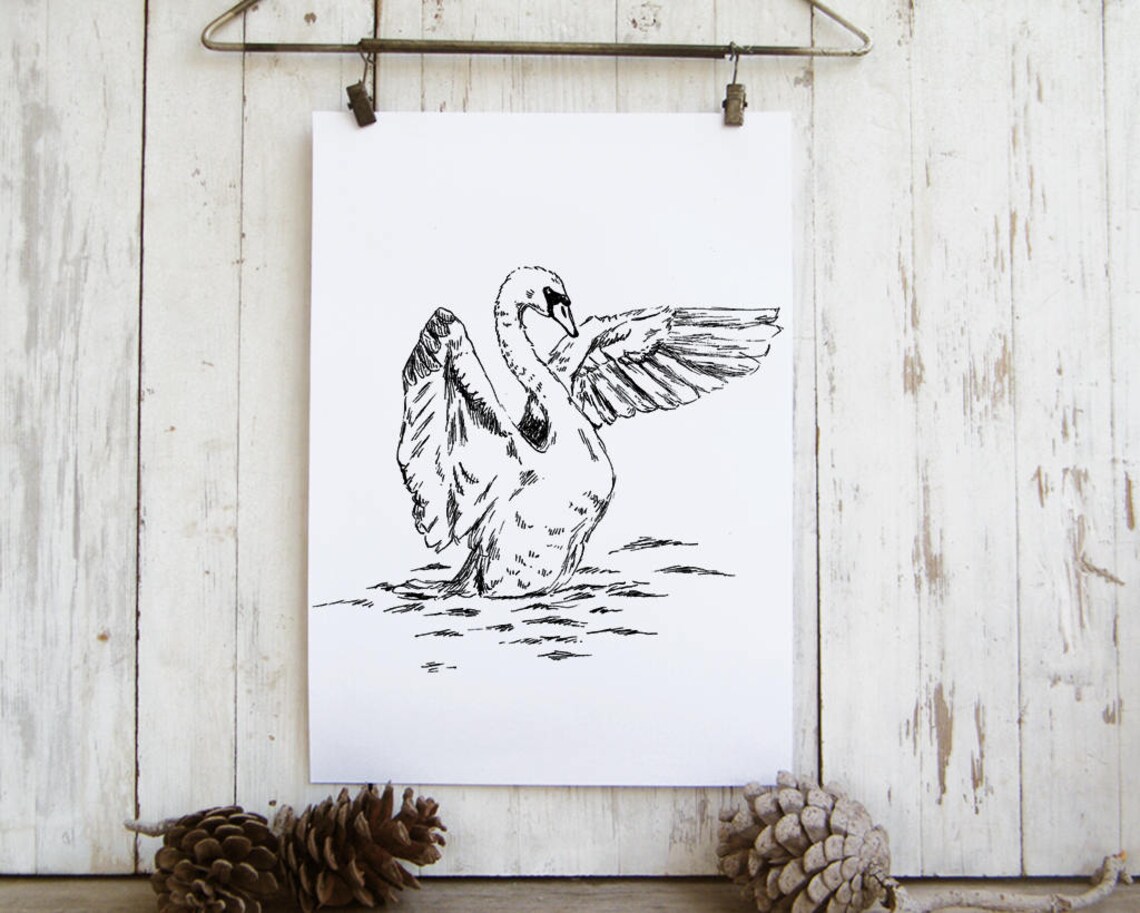 Black and White Swan Drawing Art Print - Image 3