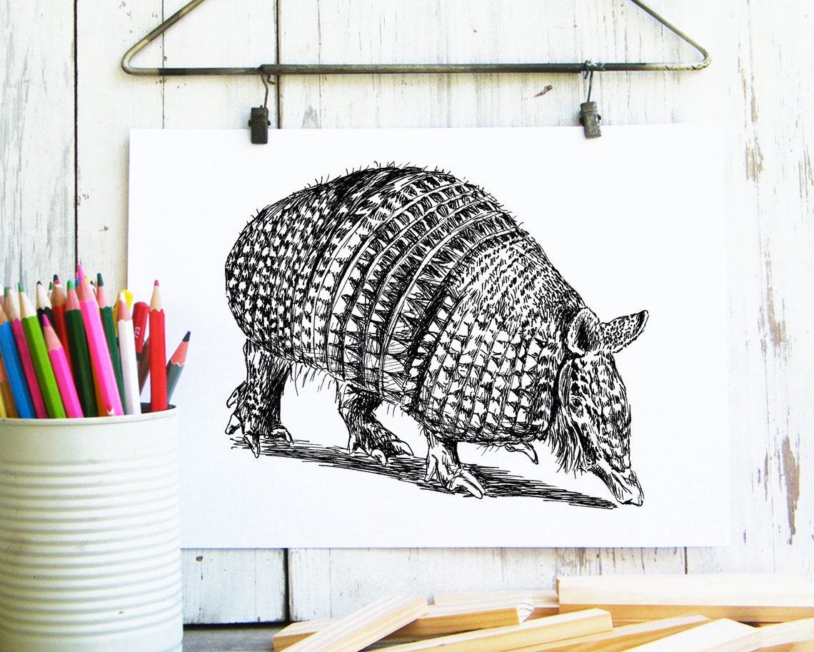 Armadillo Hand Drawn Ink Sketch Cute Animal Nursery Wall Art - Image 3