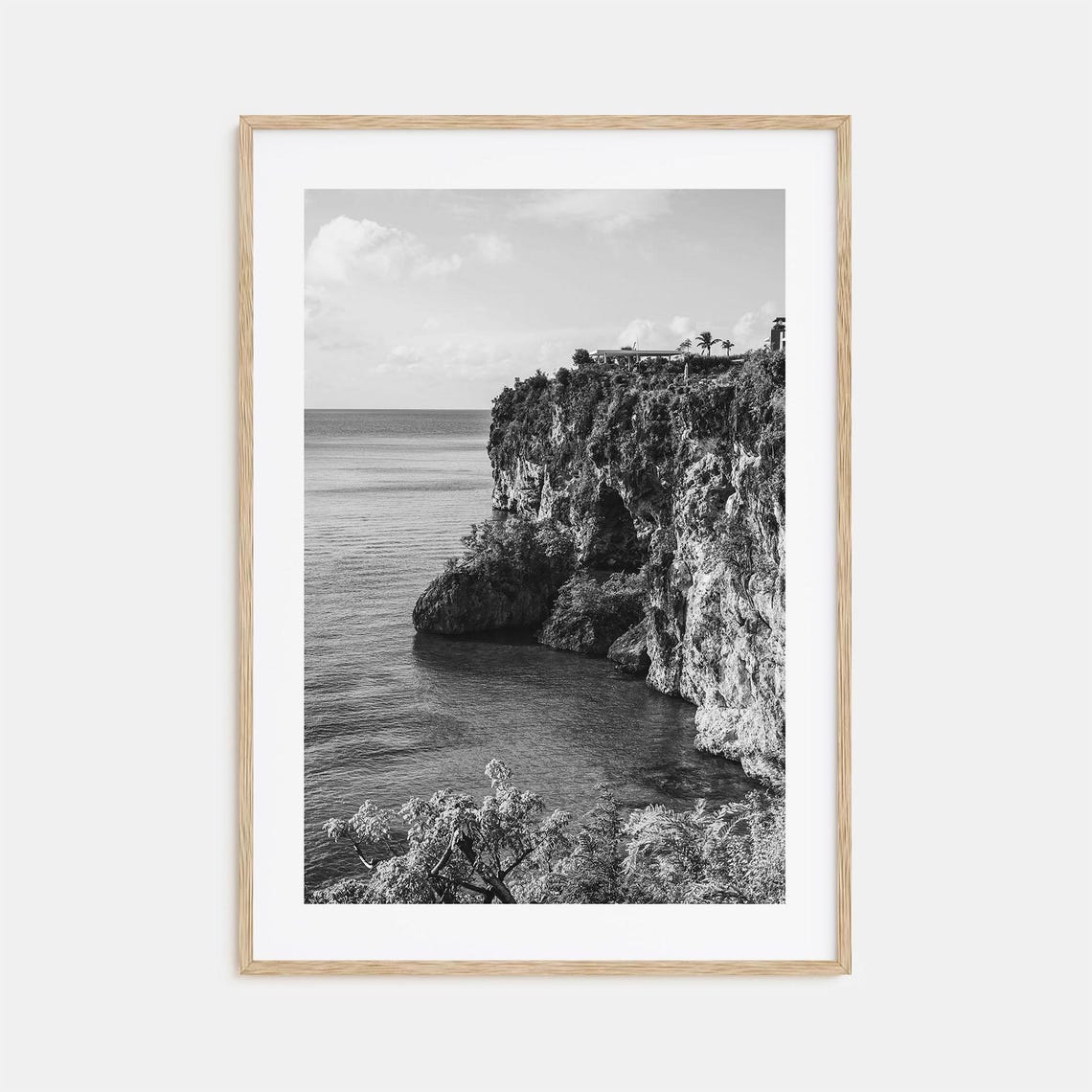Anguilla Ocean Cliffs Rocky Palm Shore Black And White Poster
