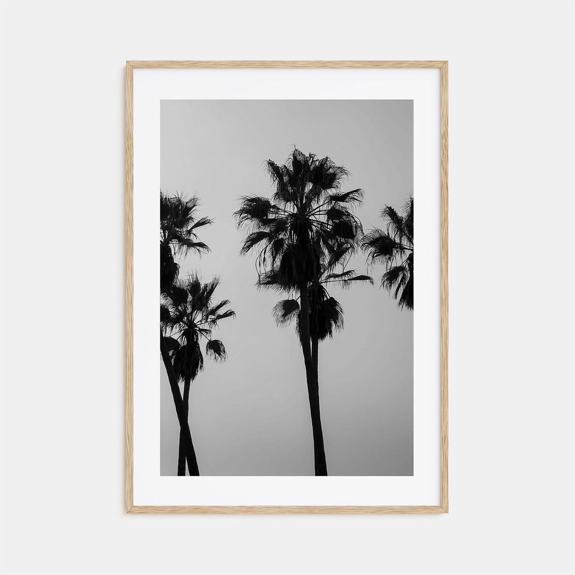 Tall Palm Trees Silhouetted Against Bright Sky Black And White Poster