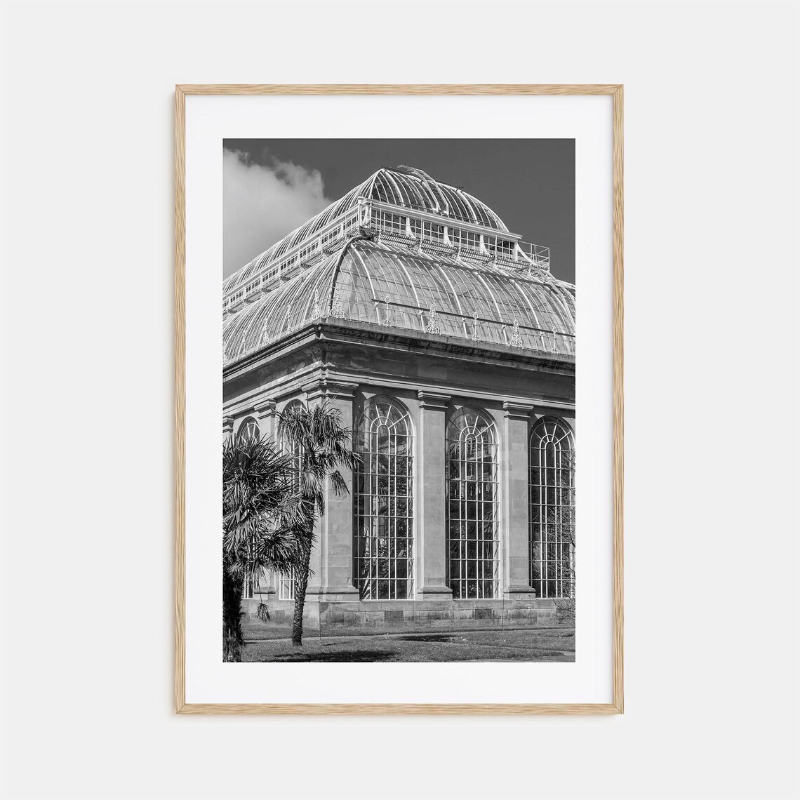 Glass Palm House Conservatory Tropical Garden Black White Photo Poster