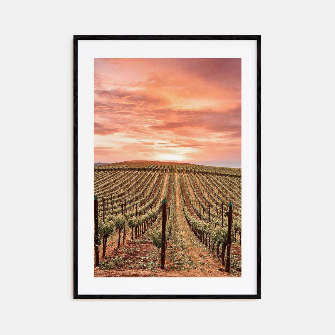 Napa Valley Vineyard Rows Rolling Toward Sunset Pink Sky Poster