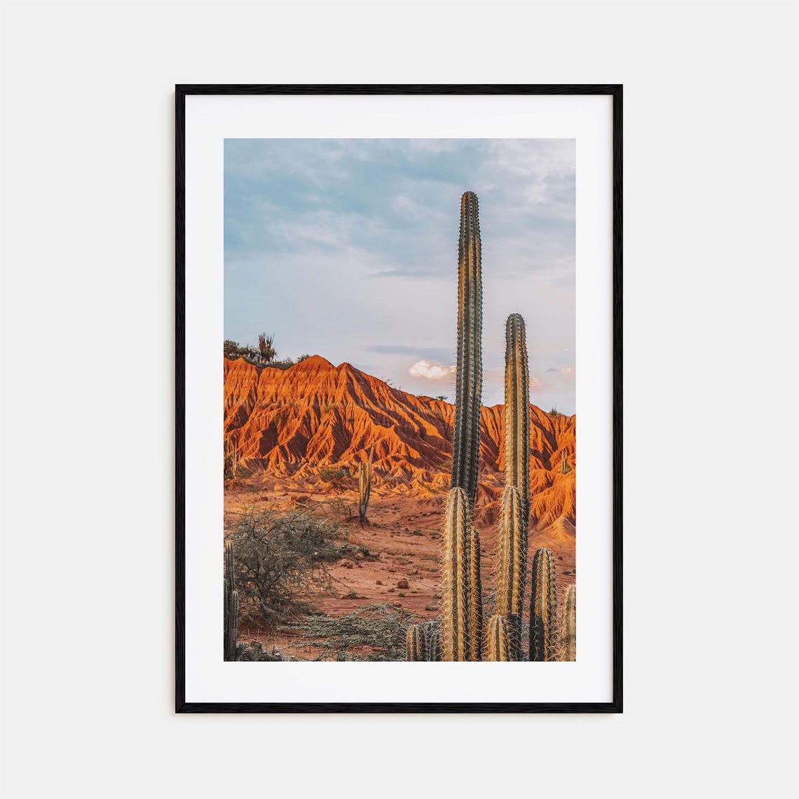 Colombia Tatacoa Desert Red Cliffs and Tall Cactus Plants Poster