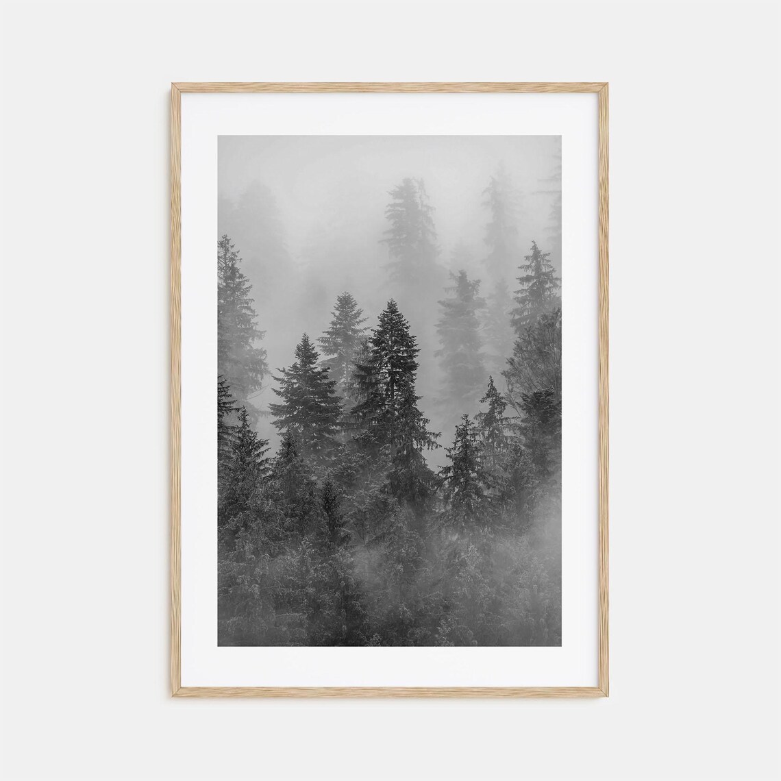 Misty Pine Forest in Fog Black and White Landscape Photo Poster
