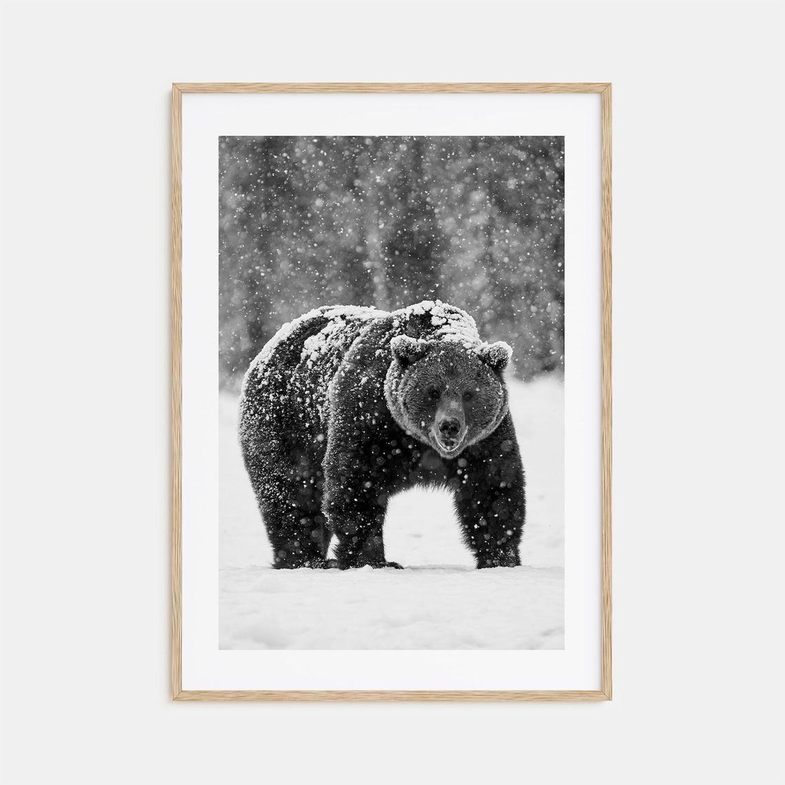Bear Photo Poster Print No 2 Bear Black And White Wall Art Bear Wall Photography Bear Travel Bear Map Poster