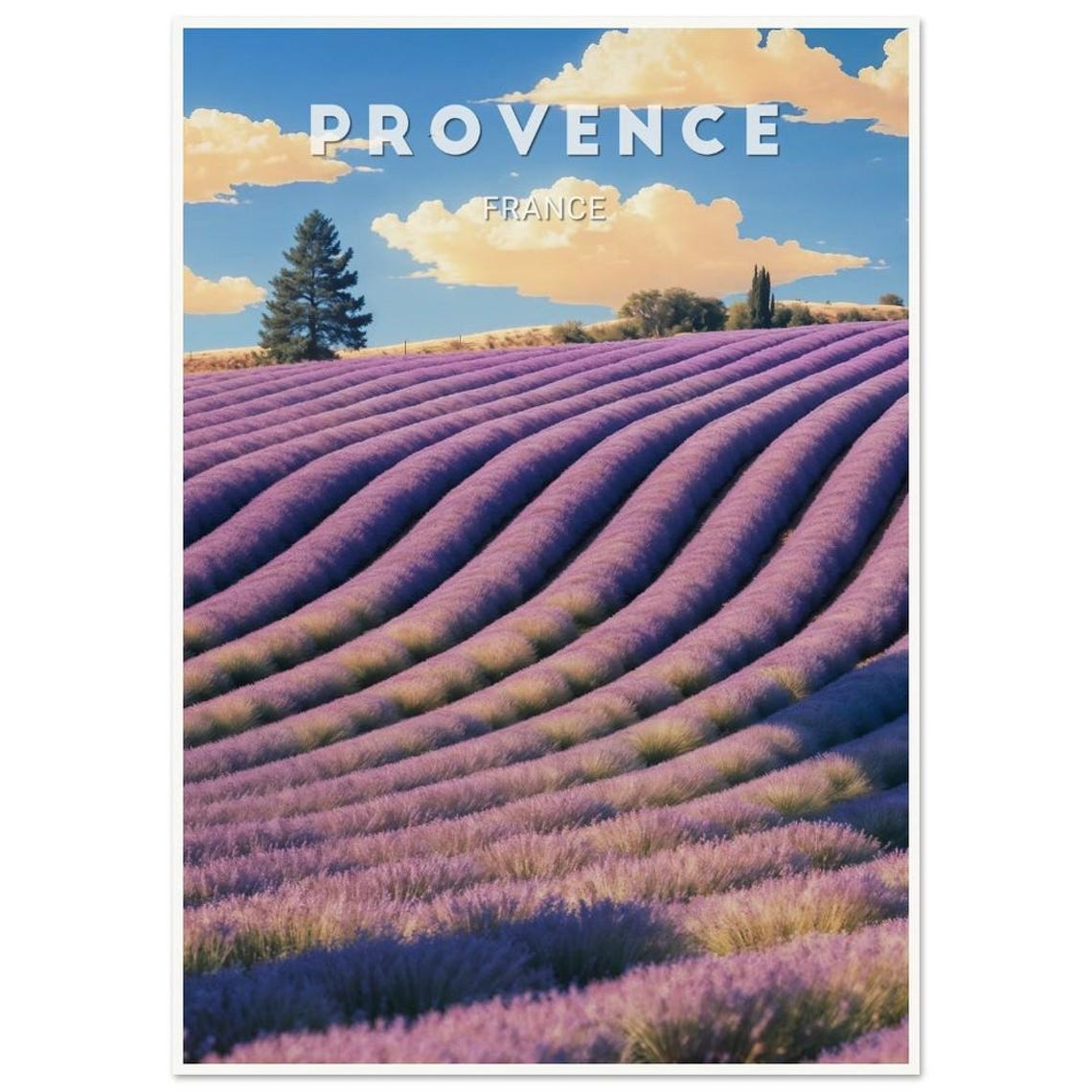 Provence France Lavender Field Rolling Hills Summer Sunset Poster