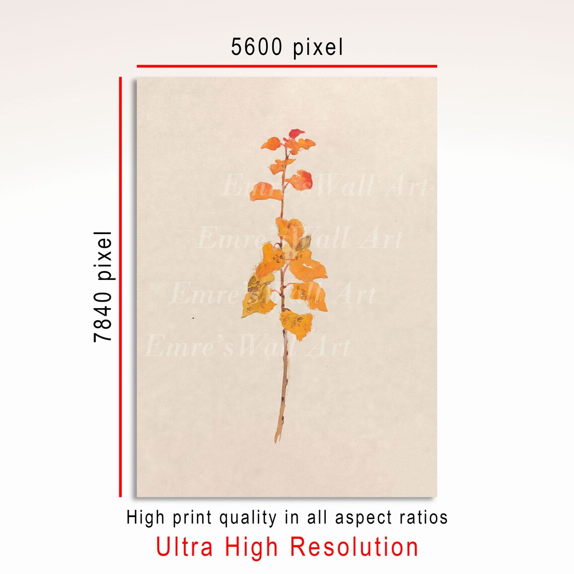Antique Botanical Print, Rustic Farmhouse Decor - Image 3