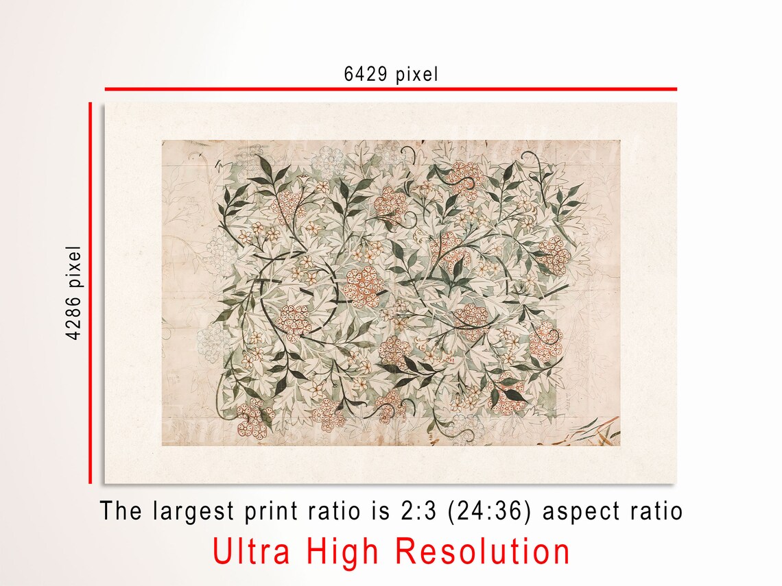 Vintage Botanical Sketch Prints, Neutral Flower Art - Image 3
