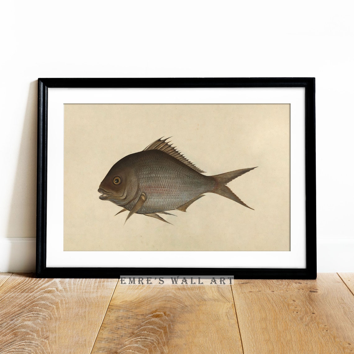 Vintage Scientific Fish Illustration Marine Study Art Poster - Image 4