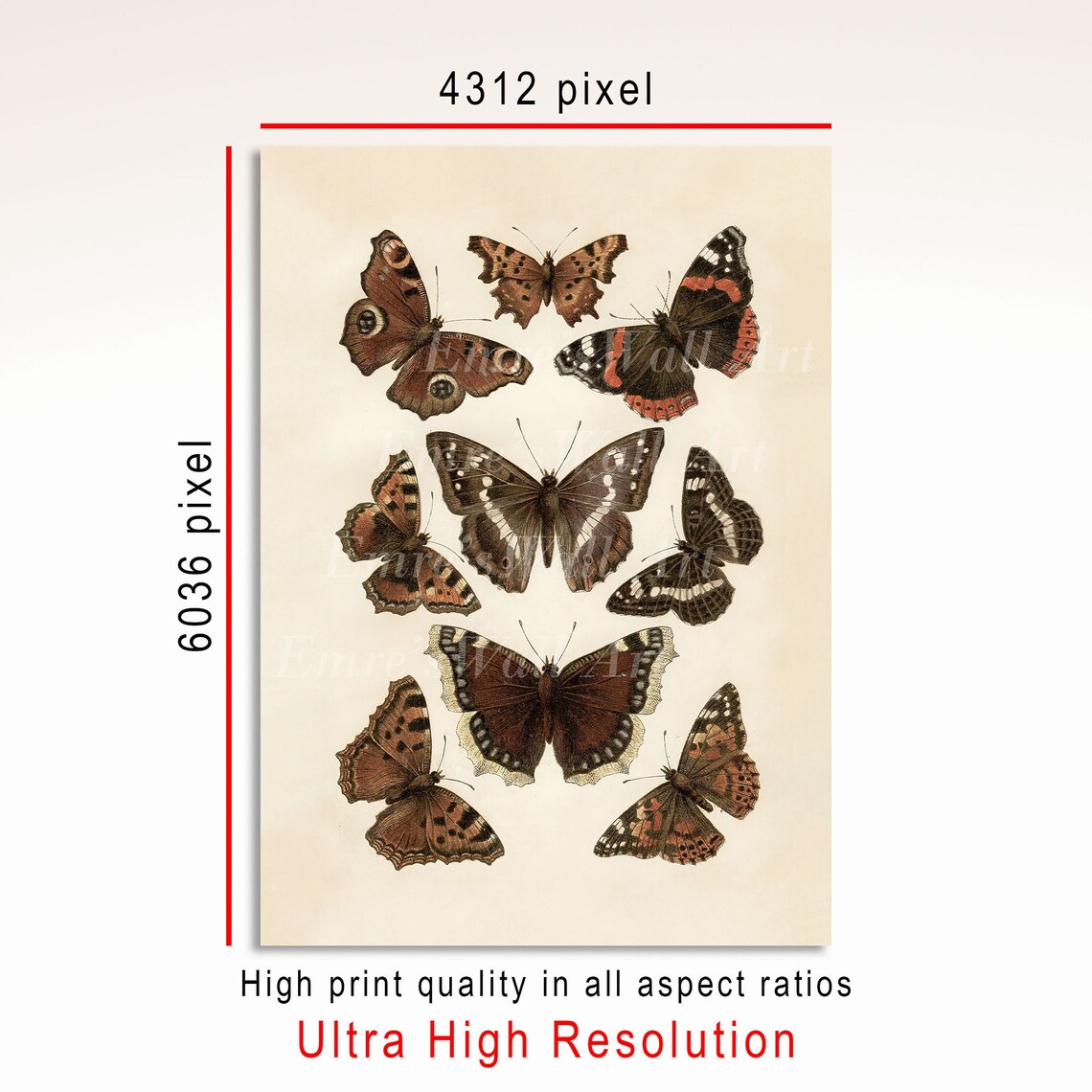 Vintage Butterfly Drawing, Rustic Farmhouse Art Print - Image 3