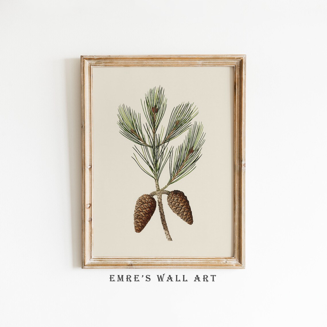 Pine Cone Branch Sketch, Vintage Botanical Art Print