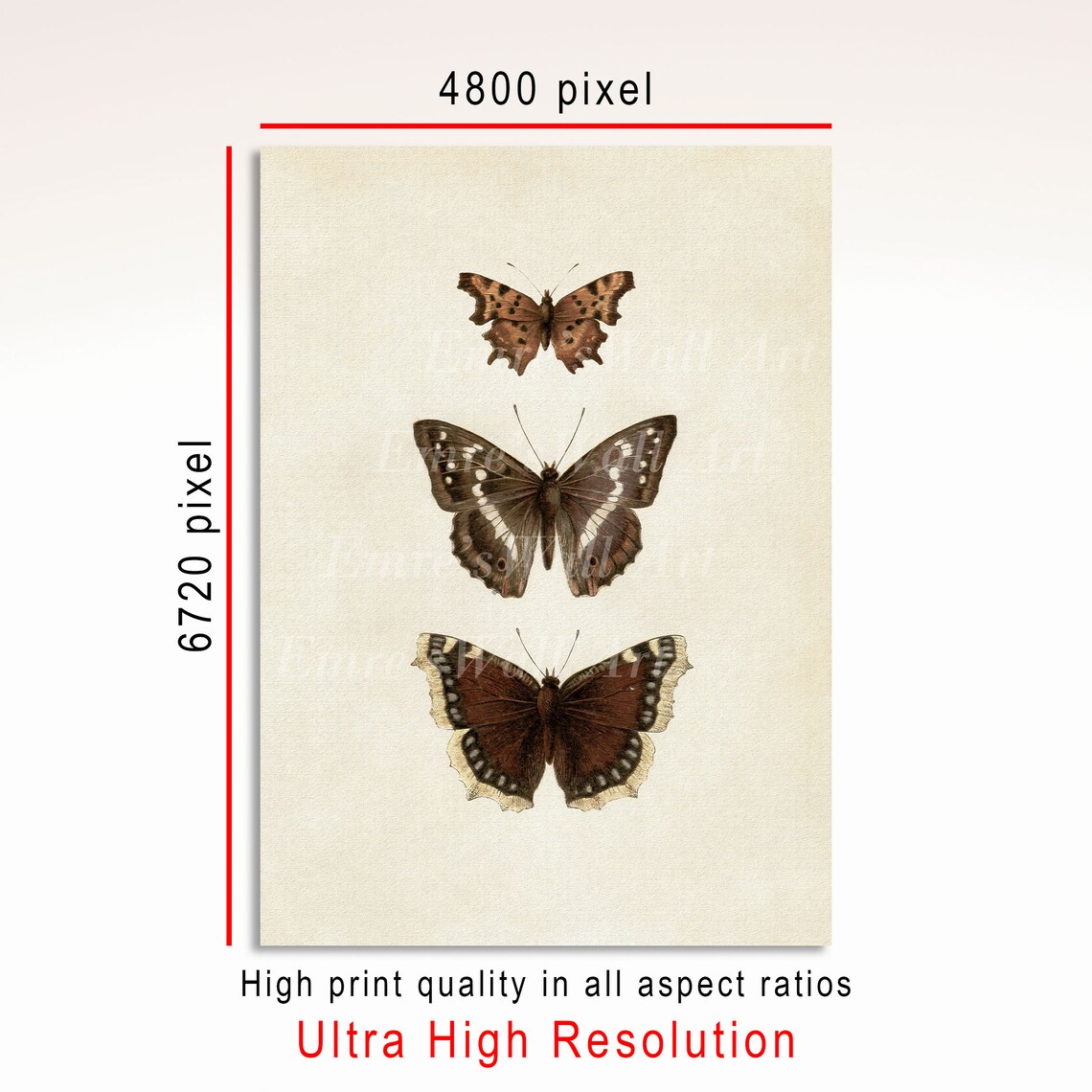 Vintage Butterfly Sketch Art Print, Neutral Farmhouse - Image 3
