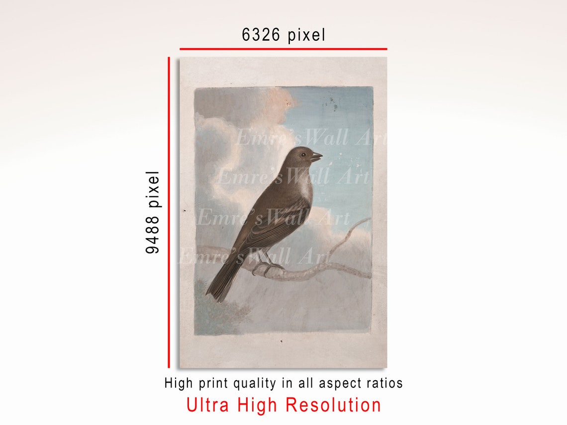 Brown Songbird on Branch Vintage Bird Illustration Cloudy Sky Poster - Image 3