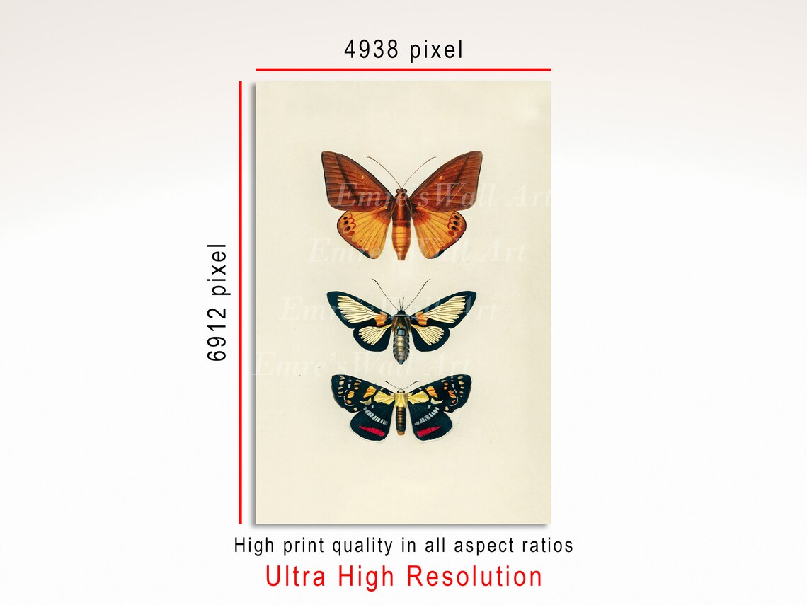 Boho Butterfly Print, Vintage Butterfly Art Print - Image 3