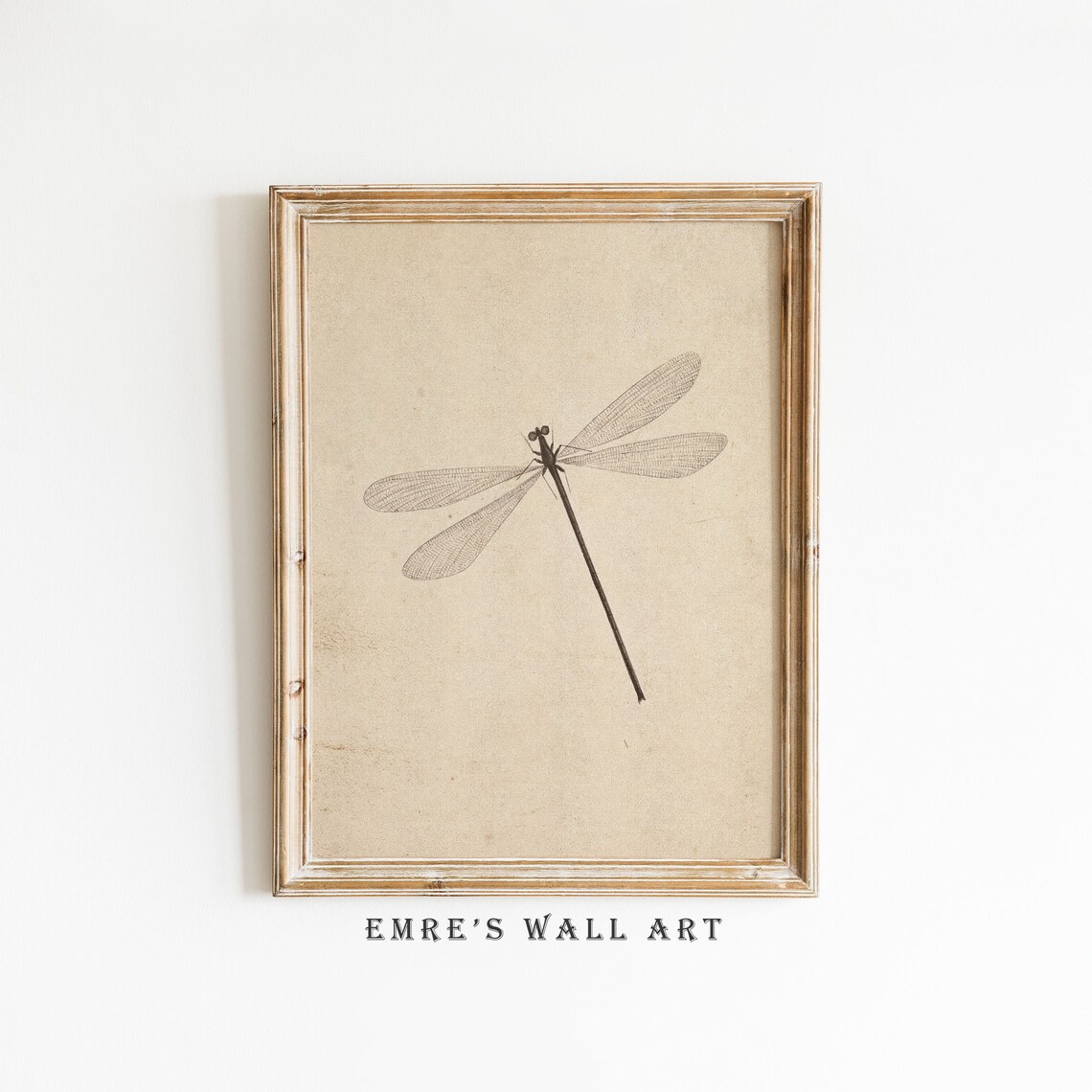 Dragonfly Vintage Sketch Art Print, Antique Sketch