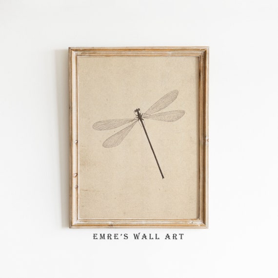 Dragonfly Vintage Sketch Art Print, Antique Sketch