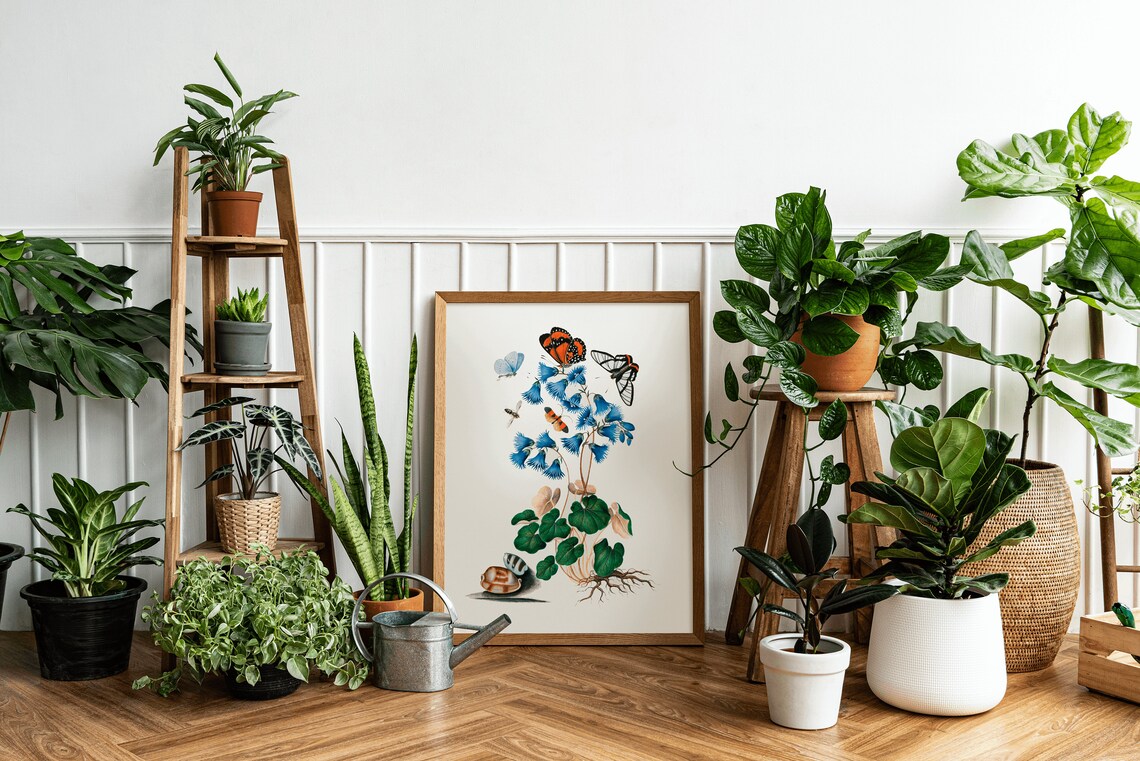 Blue Bellflower Botanical Illustration with Butterflies Vintage Poster - Image 3
