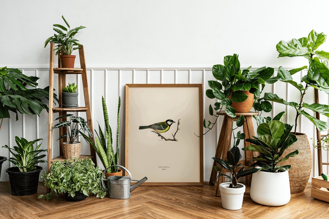 Great Tit Bird Vintage Nature Art Print Poster - Image 2
