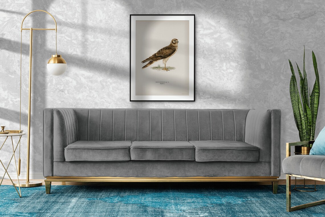 Pallid Harrier Female Bird of Prey Art Print - Image 2