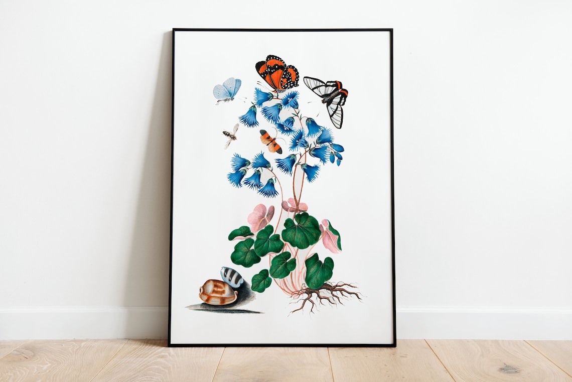 Blue Bellflower Botanical Illustration with Butterflies Vintage Poster