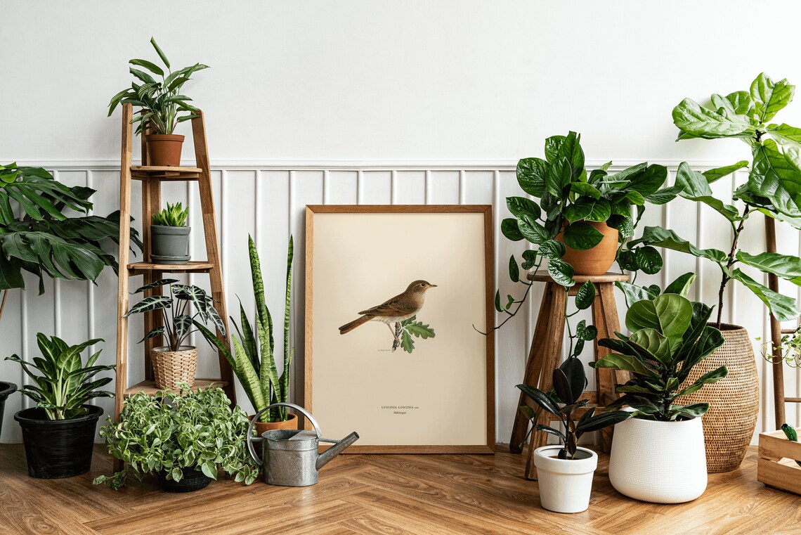Thrush Nightingale Bird Vintage Nature Art Print - Image 3