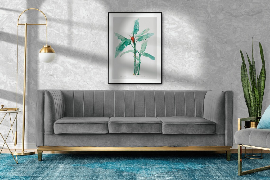 Musa Coccinea Banana Plant Vintage Botanical Illustration Wall Poster - Image 2
