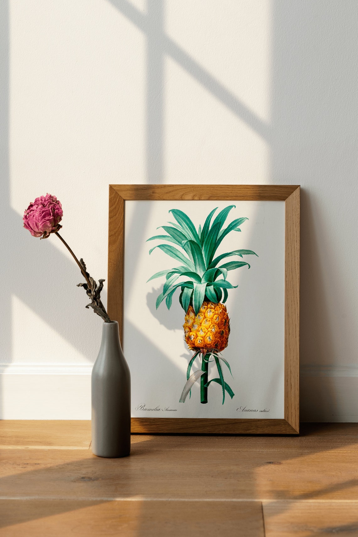 Pineapple Vintage Botanical Illustration Tropical Fruit Wall Poster - Image 4