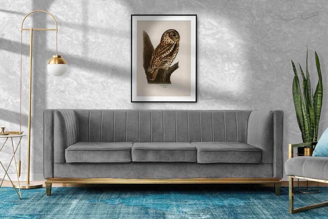 Tawny Owl Bird Of Prey Vintage Nature Art Print - Image 2