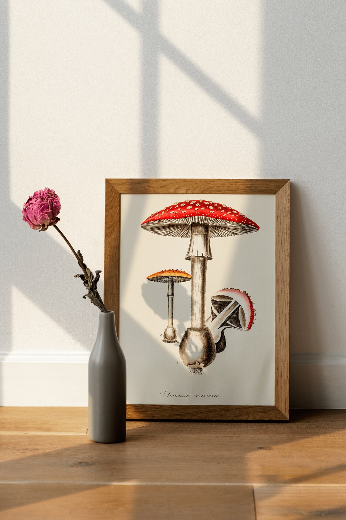 Amanita Muscaria Fly Agaric Mushroom Vintage Mycology Wall Poster - Image 4
