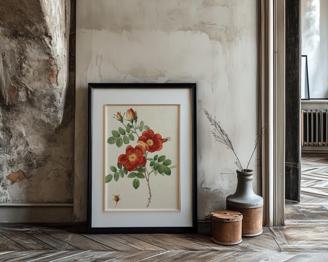 Red Wild Rose Botanical Study With Hips And Thorns Vintage Print - Image 3