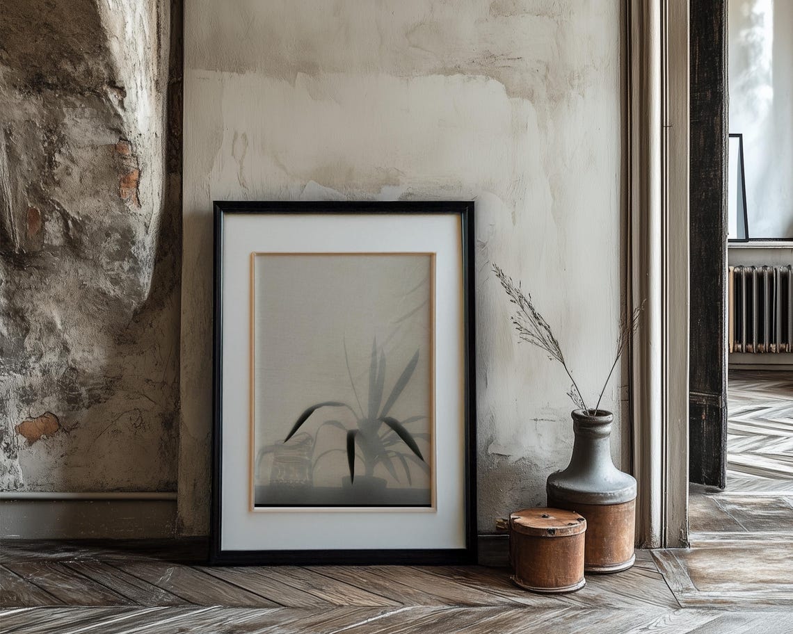 Misty Houseplant Shadow Behind Sheer Curtain Fine Art Poster - Image 3
