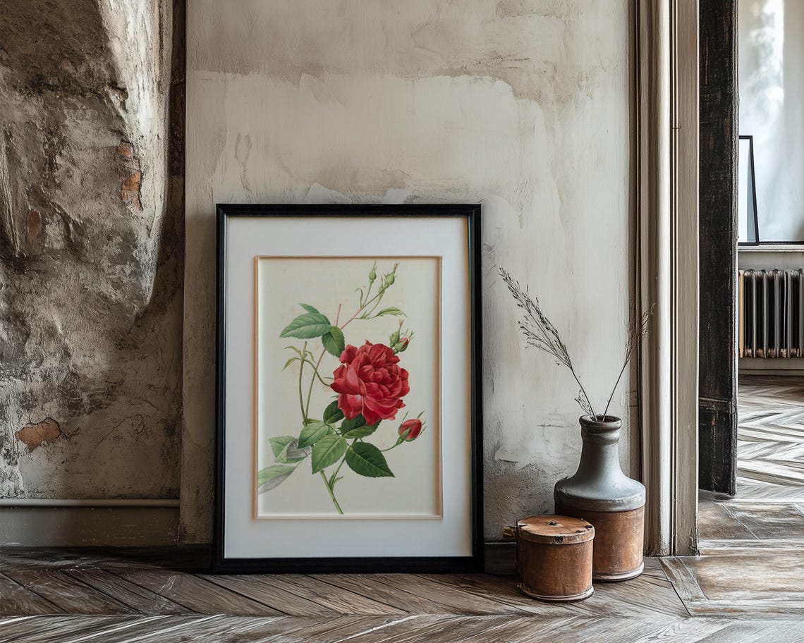 Crimson Red Rose Botanical Illustration with Buds Vintage Poster - Image 3