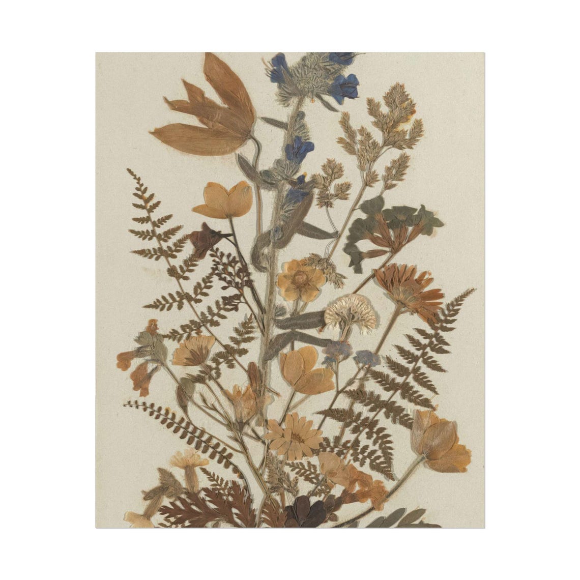 Dried Autumn Wildflowers with Ferns Vintage Pressed Botanical Poster - Image 5