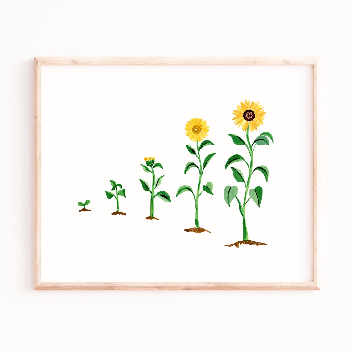 Sunflower Evolution Watercolor Art Print, Bohemian